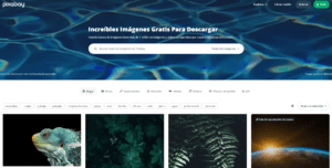 Imágenes y fotos libres de derecho de autor gratis